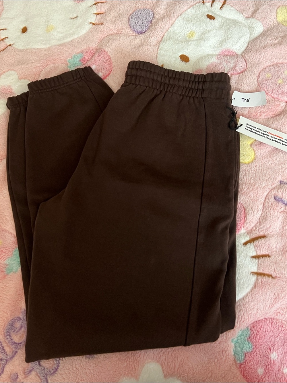 Aritzia Extra Fleece Mocha Brown joggers